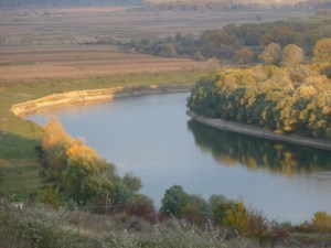 Nistru la Speia